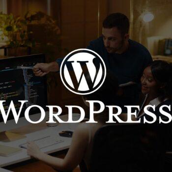 Professional Website Development with WordPress